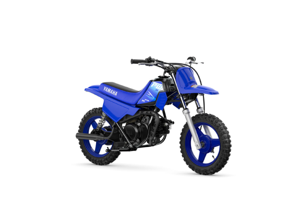 PW50 Icon Blue